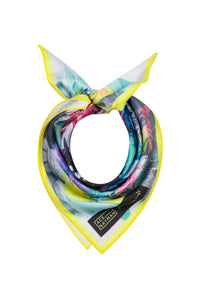 SD SCARF